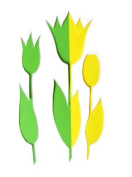 Çiçek tebrik kartı tasarımı — Stok fotoğraf