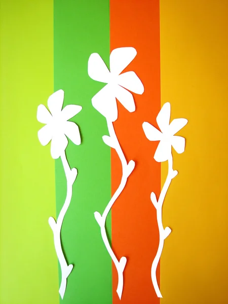 Diseño de tarjeta de felicitación con flores — Foto de Stock
