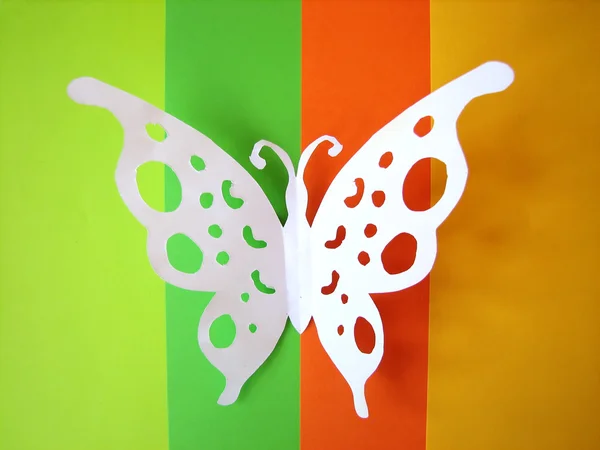 Бабочка из бумаги на яркой спинке — стоковое фото
