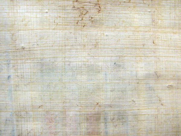 Padrão de papiro — Fotografia de Stock