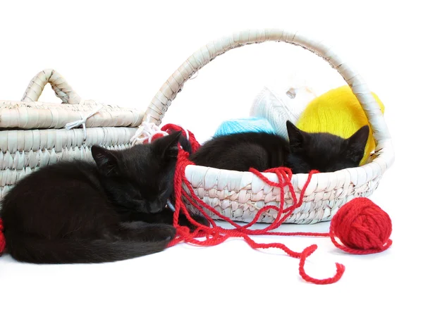 Gatinhos dormindo na cesta com fios — Fotografia de Stock