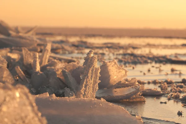 Ледяные флоы — стоковое фото