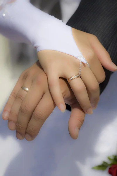 Newlyweds holding hands — Stock Photo, Image