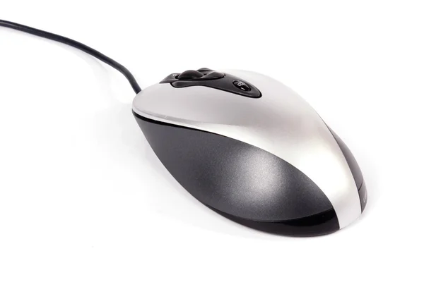 stock image Mouse