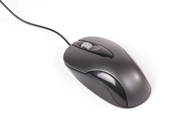 stock image Mouse