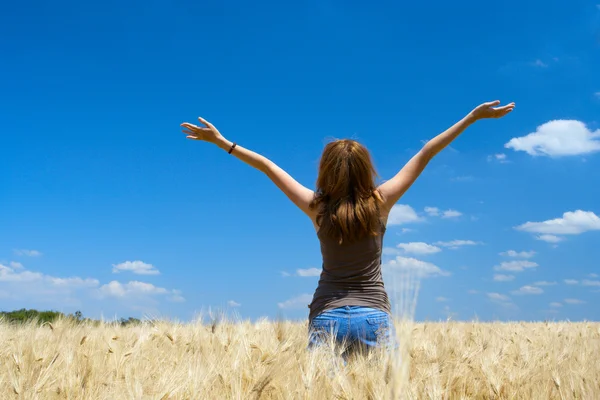 Girl on a wheat field Stock Picture