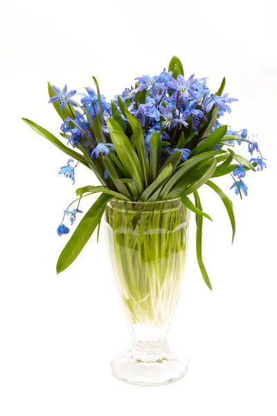 แจกันดอกไม้ — ภาพถ่ายสต็อก