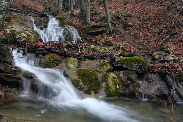 Forest waterfall 2009-12-1 — Stock Photo, Image