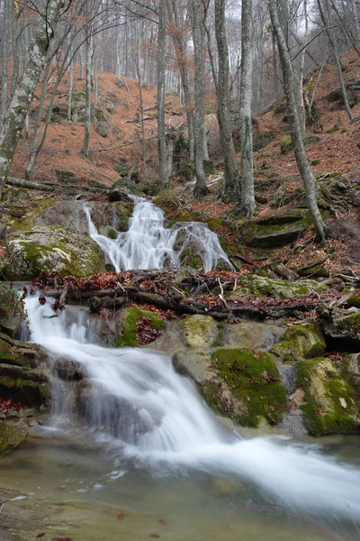 Wodospad lasu — Zdjęcie stockowe