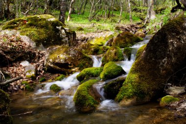 Forest waterfall clipart