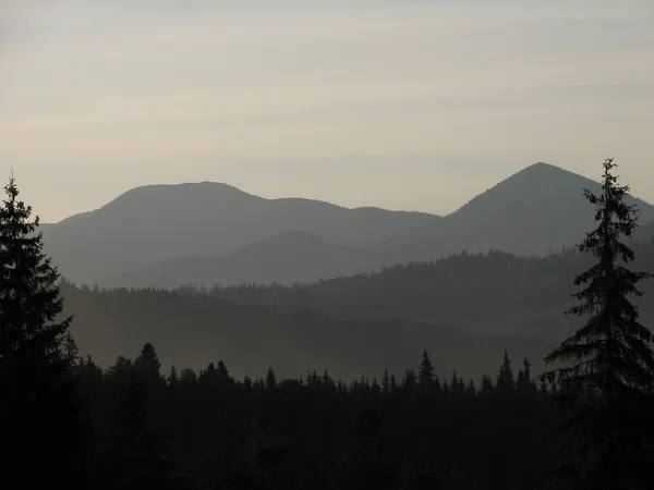Sessiz akşam saatlerinde carpatian dağlar — Stok fotoğraf