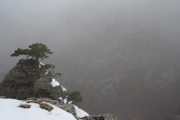 Mgła w Dolina ducha — Zdjęcie stockowe