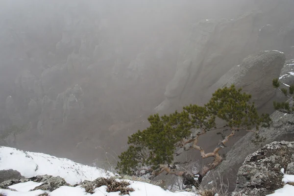 Niebla en Ghost Valley —  Fotos de Stock