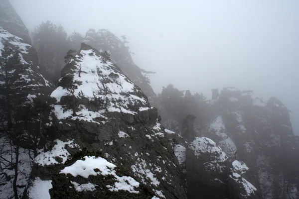 Туман в долине призраков — стоковое фото