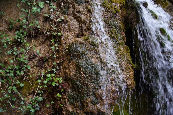 Aşırı büyümüş şelale kaya — Stok fotoğraf