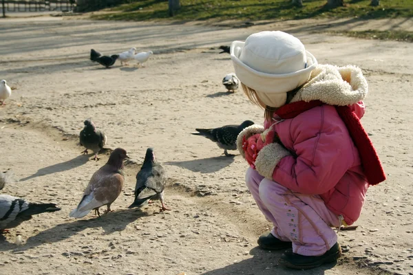 Menina alimentando pombos — Fotografia de Stock
