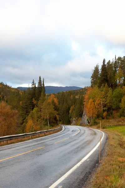 stock image Road