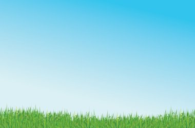 Grass and blue sky clipart