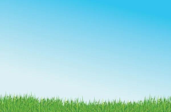 Gräs och blå himmel — Stock vektor