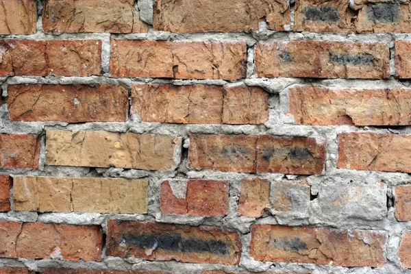 stock image Brick wall background