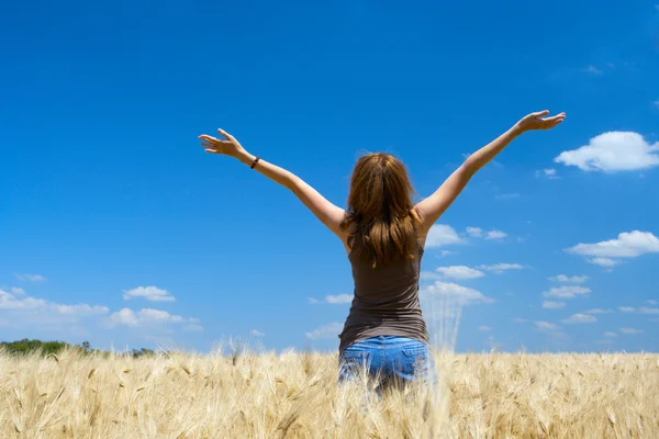 stock image Girl on a wheat field