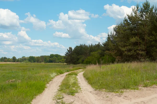 Road on a meadow — Stock Photo, Image