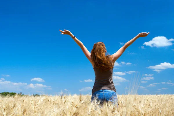 Girl on a wheat field Stock Image