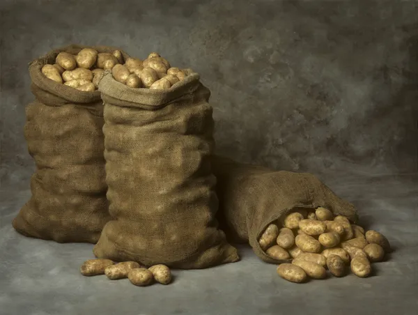 Kleckse Säcke mit Kartoffeln — Stockfoto