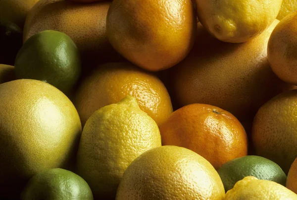 Mixed fresh citrus fruit — Stock Photo, Image