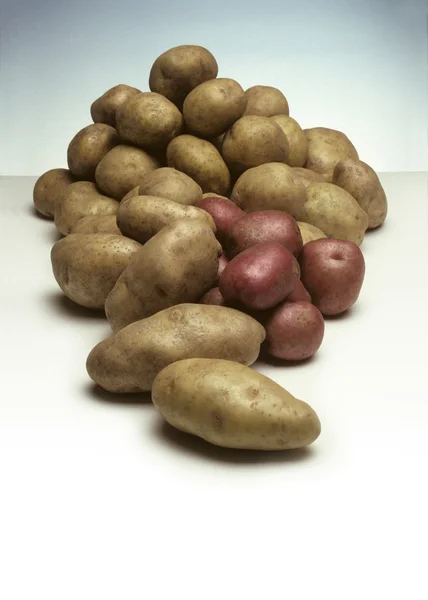 감자의 더미 — 스톡 사진