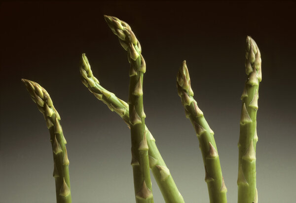 Five Asparagus spears