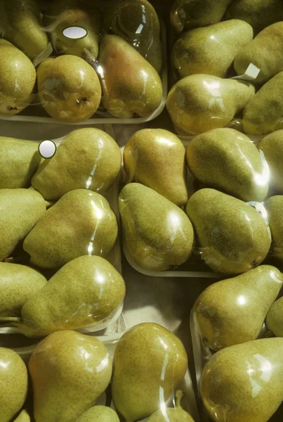 Shrink-wrapped trays of Bartlet pears — Stock Photo, Image