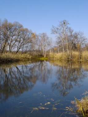 Birches Gölü