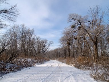 Kışın ahşap road Rusya akşam.