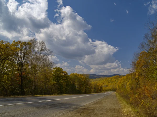 Sonbahar ahşap ve yol — Stok fotoğraf