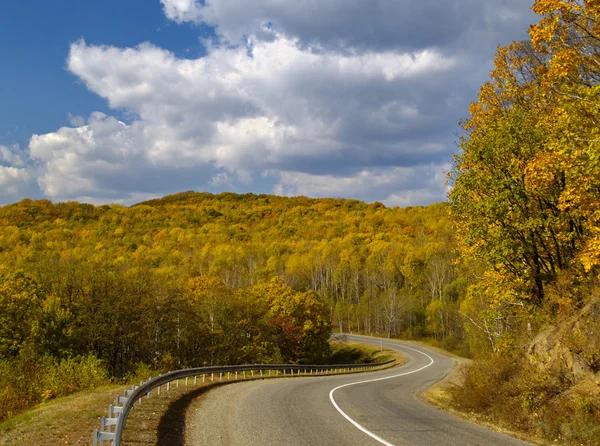 Madera de otoño y carretera — Foto de Stock