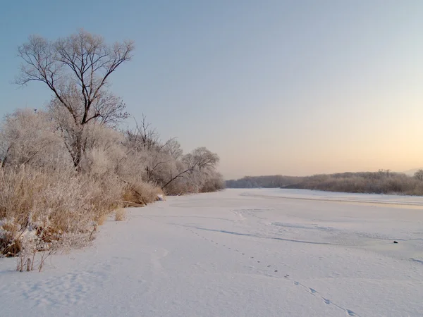 Στον πάγο από την ussuri παγωμένος ποταμός — Φωτογραφία Αρχείου