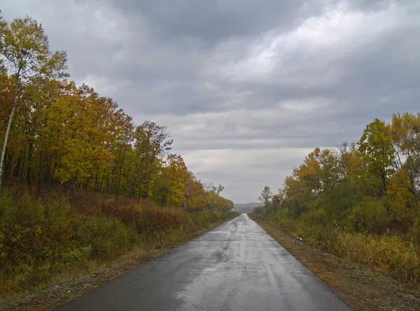 Herbstholz und die Straße — Stockfoto