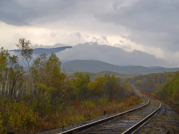 Sonbahar ahşap ve demiryolu — Stok fotoğraf