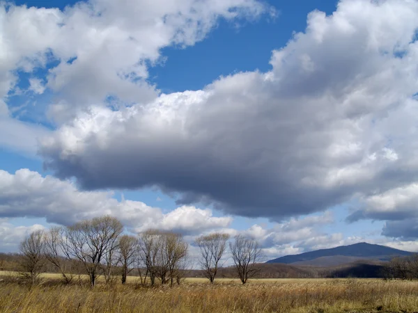 Осенние облака — стоковое фото