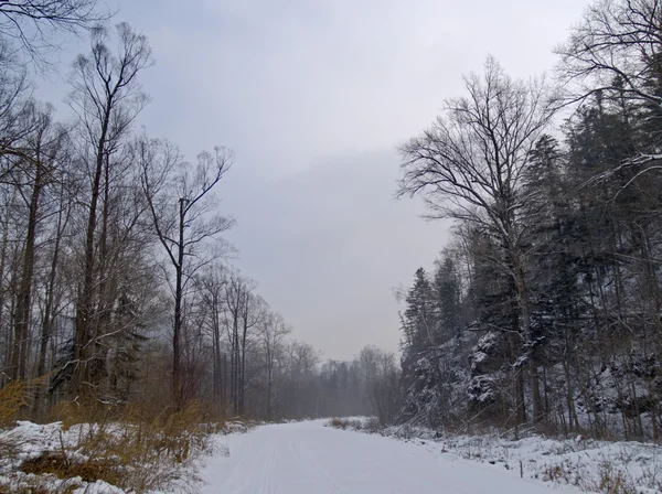 Winter weg op een berghelling — Stockfoto