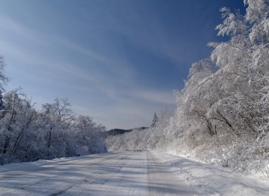 kış yolu