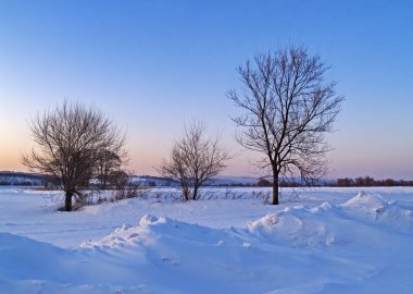 gün batımında snow-clad alanların içinde