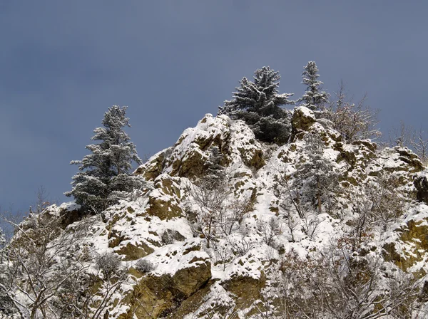 Sabah bir kar yağışı sonra — Stok fotoğraf