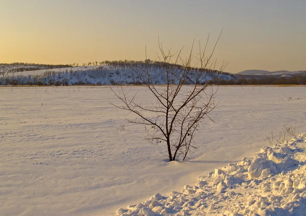 Los campos cubiertos de nieve al atardecer — Foto de Stock