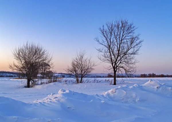 Los campos cubiertos de nieve al atardecer —  Fotos de Stock