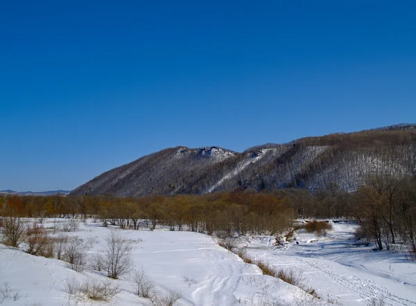 Kış manzarası - ahşap, dağlar — Stok fotoğraf