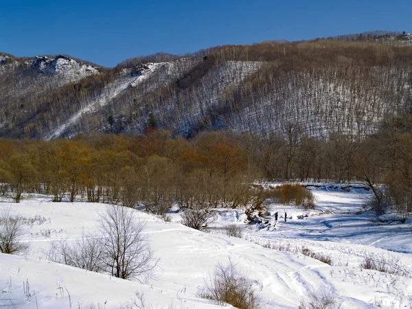 W zimowym krajobrazie - drewno, góry — Zdjęcie stockowe