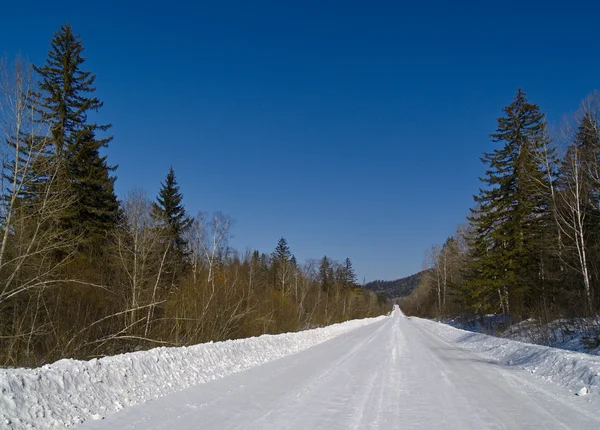 La strada bianca invernale — Foto Stock