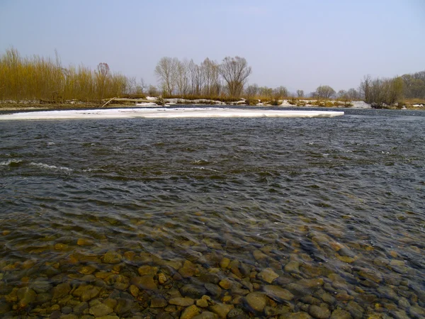 Στον ποταμό την άνοιξη — Φωτογραφία Αρχείου